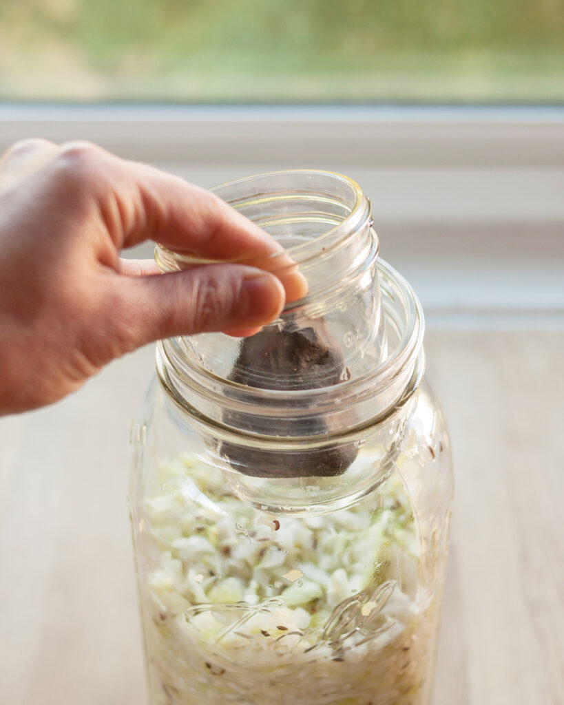 How To Make Sauerkraut In Jars Jar Can   B423a73c06d646309252baa6fd75751a 819x1024 